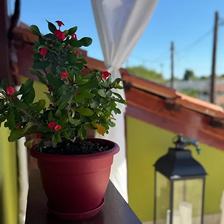 شقة Takis' Attic *