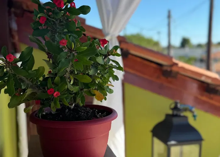 Lägenhet Takis' Attic *